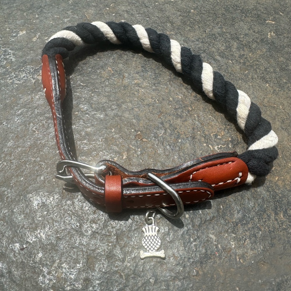 MacKenzie Childs Courtly Twist Pet
